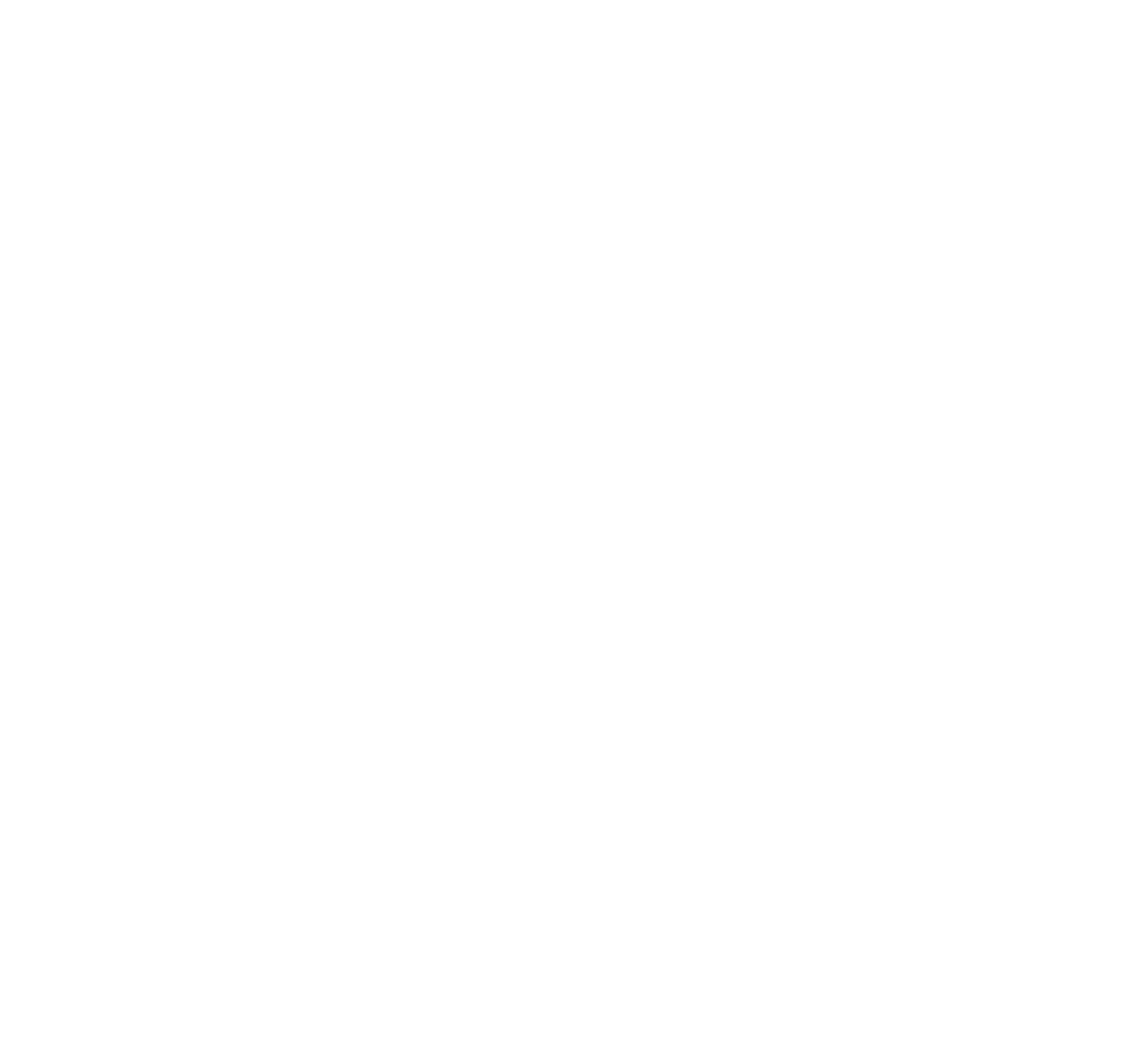 Believe In Nothing Logo